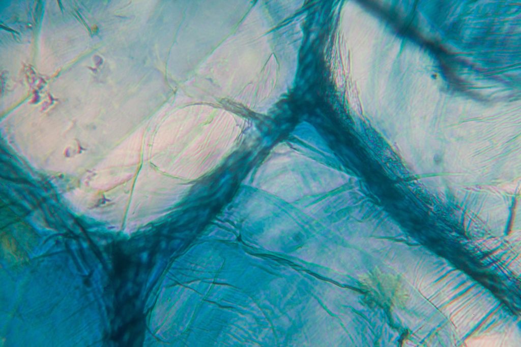 Microscopic blue mineral-like layers symbolizing precision health analytics and the biology of aging